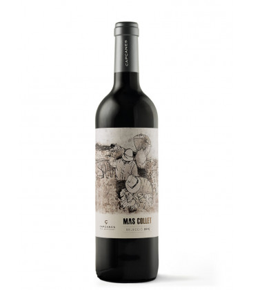 2024 Mas Collet