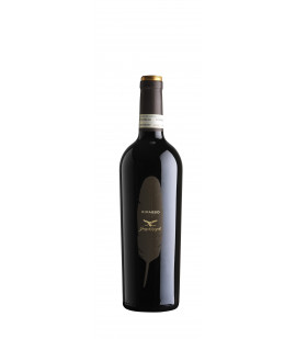 2021 Valpolicella Ripasso Giuseppe Campagnola