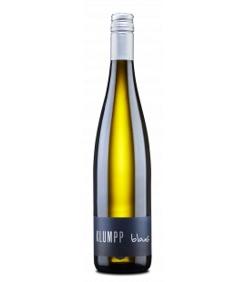 2024 Weingut Klumpp Blanc, trocken