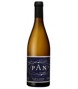 2023 PAN