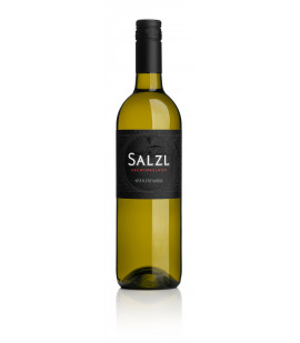 2021 Weingut Salzl Spätlese weiß