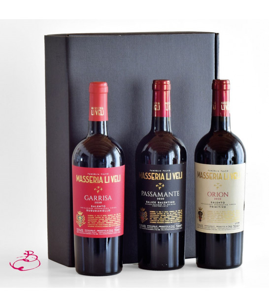 Montecore Weinlager 2021 - Primitivo Barkhausen