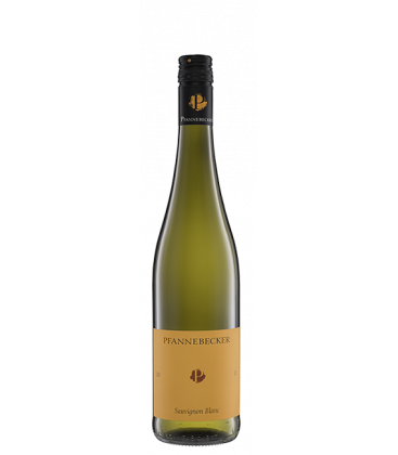 2022 Pfannebecker Sauvignon Blanc trocken