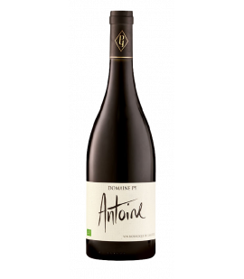 2020 Antoine - Domaine Py