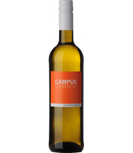 2025 Campus - Rivaner trocken