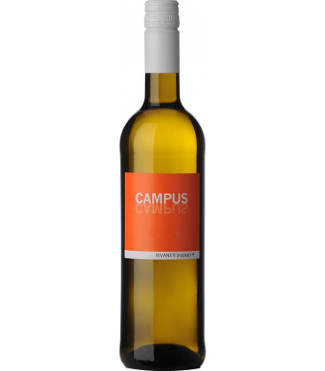 2025 Campus - Rivaner trocken