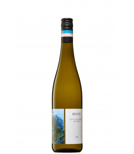 2022 Weingut Meiser Sauvignon blanc, trocken