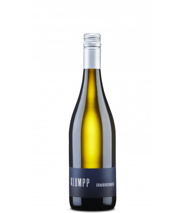 2023 Weingut Klumpp Grauburgunder, trocken - Weinlager Barkhausen