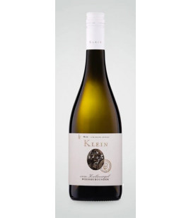 2024 Weingut Klein Weissburgunder vom Kalkmergel trocken