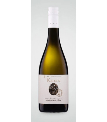 2024 Weingut Klein Weissburgunder vom Kalkmergel trocken