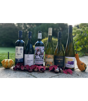 Probierpaket Neuheiten