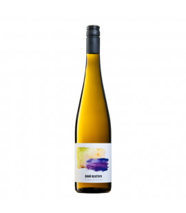 2024 Weingut Daniel Mattern Blanc de Noir trocken