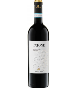 2022 Spinelli Tatone Montepulciano D'Abruzzo