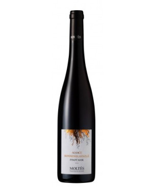 2023 Moltès Alsace Terrior Pinot Noir Sonnenglaenzle trocken