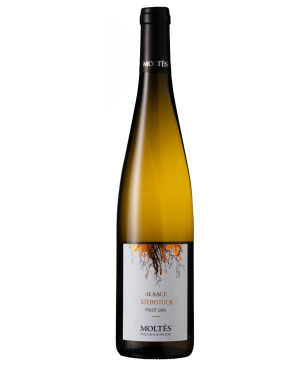 2024 Moltès Alsace Terrior Riesling Steinstück trocken