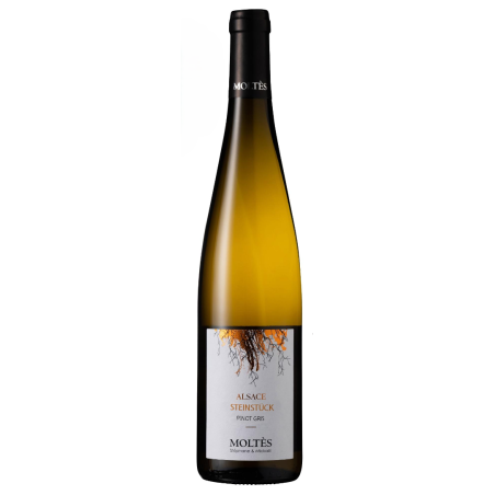 2024 Moltès Alsace Terrior Riesling Steinstück trocken