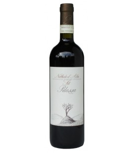 2022 Pelassa Nebbiolo d'Alba