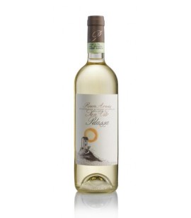 2025 Pelassa San Vito Roero Arneis - Weinlager Barkhausen