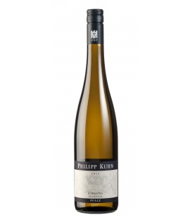 2015 Philipp Kuhn Riesling "Tradition" trocken