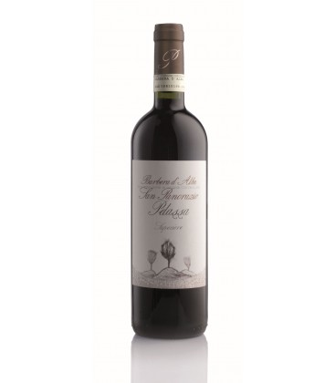 2022 Pelassa Barbera d'Alba