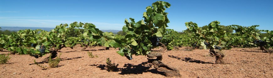 Priorat 