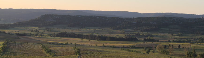 Cotes du Roussillon