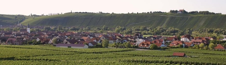 Weingut Zur Schwane