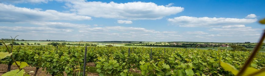 Weingut Eckhard Gröhl