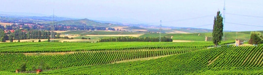 Weingut Gustavshof