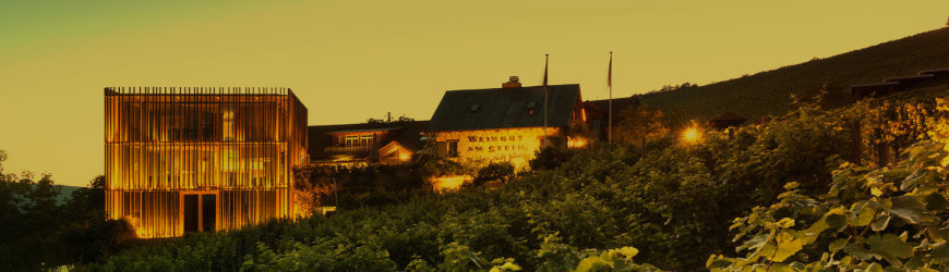 Weingut am Stein