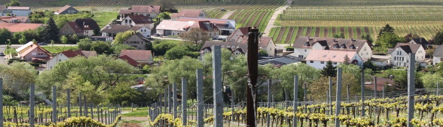 Weingut Kranz