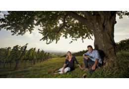 Erstklassiges aus Österreich