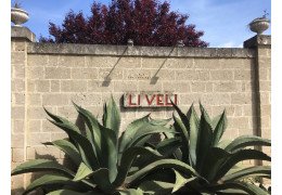 Eine Reise nach Apulien